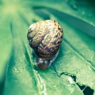 Pannawich1997's profile picture. #ชื่อปัณณ์ พูดคุยกันเป็นมิตรภาพทีดีต่อกัน #ถ้าใครไม่ชอบก็ขอให้ผ่านไปนะครับ