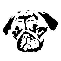 Habibi the Pug ๐พ๐พ (@mettody1) 's Twitter Profile