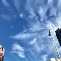 ひろりん (@hiro412345) 's Twitter Profile