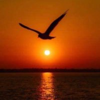 miraclemile ❤️💙 (@miraclemile1551) 's Twitter Profile Photo miraclemile ❤️💙 (@miraclemile1551) 's Twitter Profile Photo