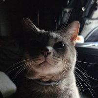 127.0.0.1 (@hydr0) 's Twitter Profile Photo