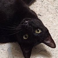 riiein ๐
(@riiein) 's Twitter Profile Photo riiein ๐
(@riiein) 's Twitter Profile Photo
