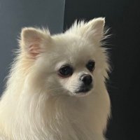 Izzy π (@rules_of_izzy) 's Twitter Profile
