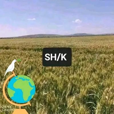 MenzaAbdella's profile picture. I am sivil servant