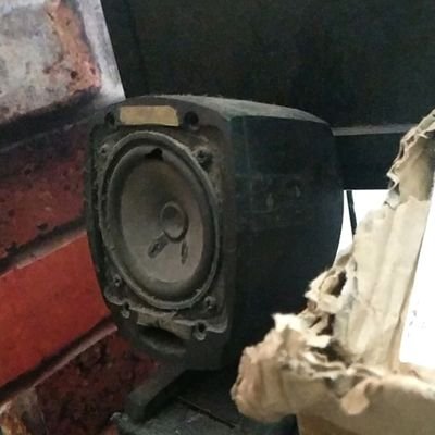 AceozEDM's profile picture. 摇晃回响贝斯玩家