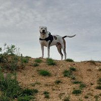 Alex Jeffrey (welease woger) (@alexjeffre44631) 's Twitter Profile Photo