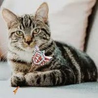 sickz CH (@sickz_ch) 's Twitter Profile