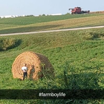 Single dad of two, I get to go to all of the Iowa Cubs games for free, helping on the (ex) in-laws farm. Bills Mafia.