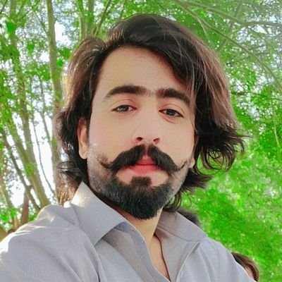 Al95183201Ali's profile picture. PiR SeB