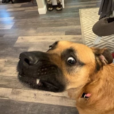 mk___two's profile picture. 