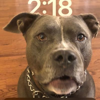 nuttz17freeman's profile picture. MAGA