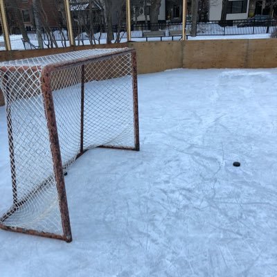 official account for the Sandy Hill outdoor rink in Ottawa, Ontario