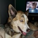 James Leduc $EARN'Mates - @JamesLeduc55433 - Twitter