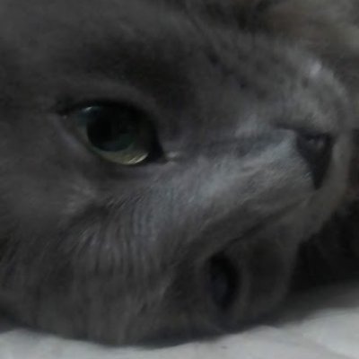 calabazzza_'s profile picture. 