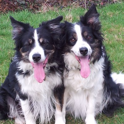 anngwill's profile picture. 