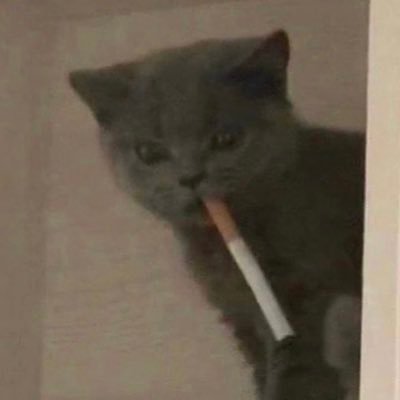 dylanlanghirt's profile picture. 