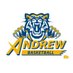 Andrew College MBB (@AndrewTigersMBB) Twitter profile photo