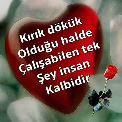 ErsinBalci16334's profile picture. usta
