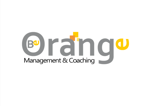 BeOrangeMC's profile picture. BeOrange Management & Coaching richt zich op het verlenen van programma-, project-, verander- en interim-management en coaching binnen de ICT.