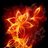 qwikzotik's profile image