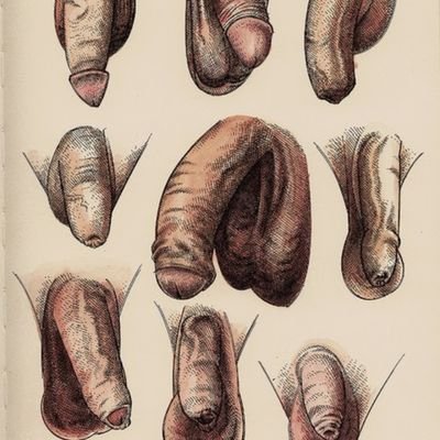 DreamWe17211832's profile picture. Confident vers/bottom seeking horny and hung and alpha male tops. I can take large sizes in both holes. Preference for darker skin men. DM if you're interested.