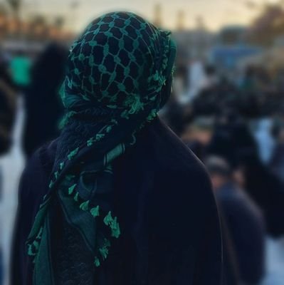 SGhazanfar70574's profile picture. 