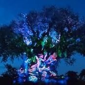 Re! 🌈 🌊 (@becynml) 's Twitter Profile