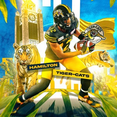 Hamilton tiger cat fan#CFL#NFL 🐯 🏈🏀