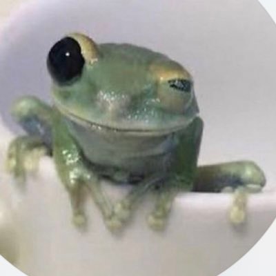 QquintanillaQ's profile picture. VINYL COLLECTOR