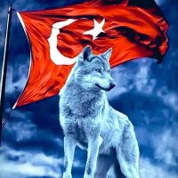 Oğuz Serkan 🇹🇷🇹🇷🐺🐺💯(@OguzSerkannn) 's Twitter Profile Photo