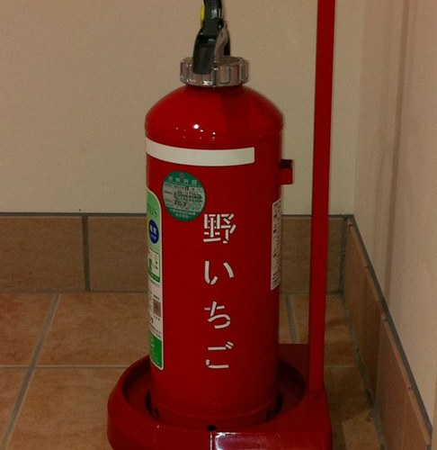 hiratsukasonic's profile picture. 