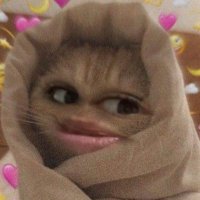 someone 🖤. (@sabeelrafi) 's Twitter Profile