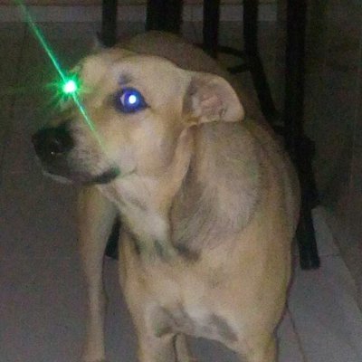 Quando vocês acham que alguém morre?
Quando sucumbem a uma doença incurável?
Não!
Elas morrem quando são esquecidas!
14/11/2016