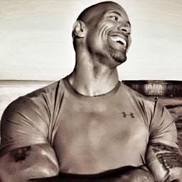 the rock