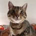 Ruth Allen (@ruthallen344655) Twitter profile photo Ruth Allen (@ruthallen344655) Twitter profile photo