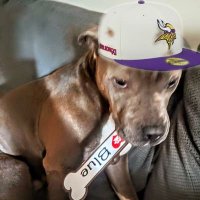 Stephen Wilson (@stephen82291120) 's Twitter Profile