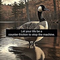 ⚫️🟢 The Goose of Walden Pond ⛰️🪕🔫🦆(@GooseAndItsOwn) 's Twitter Profileg