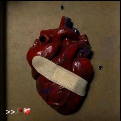 osafMemon1's profile picture. 🥀