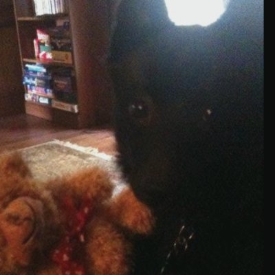 VDavies17's profile picture. Proud of my SPARES who started a  life in the US 4 centuries ago.
Even Cartier cannot hide Meghan's grifter bones.