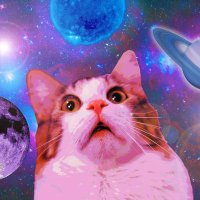 juju_Neko (@ju_ju_neko) Twitter profile photo