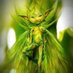 SpriteLee1948 (@spritelee8888) Twitter profile photo