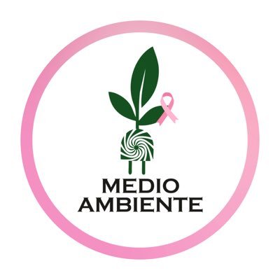 La EBY posee una dependencia denominada MEDIO AMBIENTE, que aplica las políticas y programas contenidos en el plan maestro de medio ambiente PMMA.