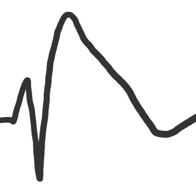 Japan Idiopathic Ventricular Fibrillation Study(J-IVFS)