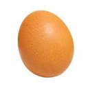 william rohan - @williamrohan2 - Twitter