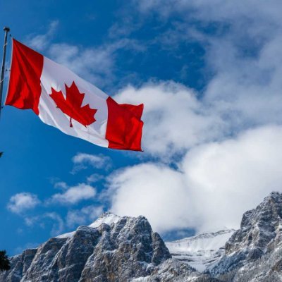 GrassInCanada's profile picture. Christian, Conservative, Patriot
A hard-working, grassroots Canadian

#MAGA2020
#TrudeauMustGo