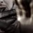 NJHatton's profile image