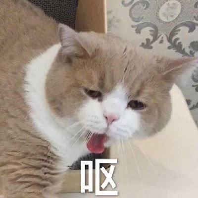 yvhutz's profile picture. 啊啊啊啊啊啊啊啊啊啊啊啊啊啊