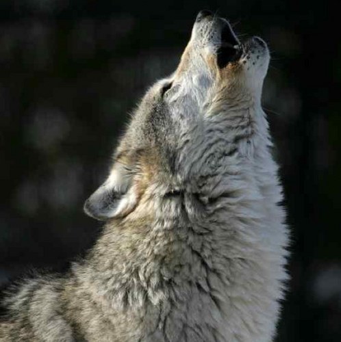 007_joanne's profile picture. 