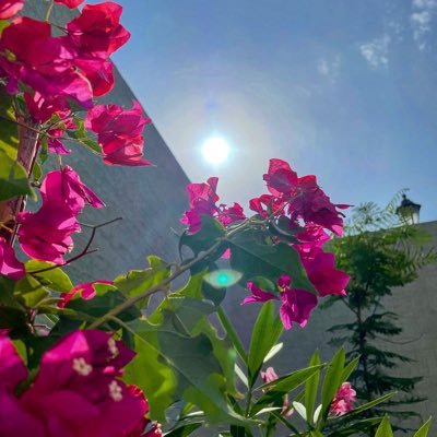 raghadalfhd's profile picture. {وَعَلَى رَبِّهِمْ يَتَوَكَّلُونَ} #IAU ||#MİS ||@Sharek_SA