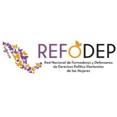 Formadoras y defensoras de los derechos políticos y electorales de las mujeres para impulsar su participación política en igualdad y libres de violencia.